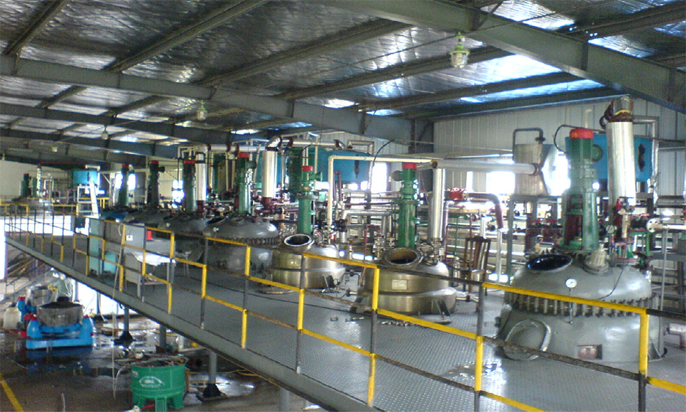 Factory Tour1